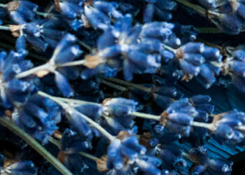 Здравоохранение и косметическая промышленность